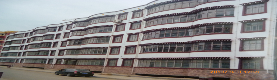 工程案例2